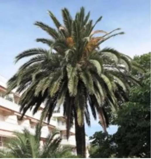 Apartamento Eden Saint-Tropez Habitación foto